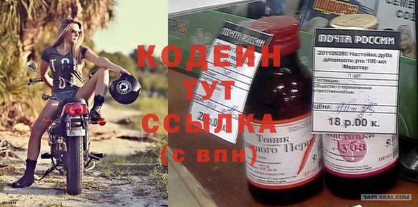 дживик Иннополис
