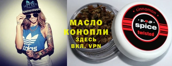 гашик Инта
