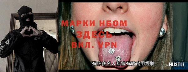 гашик Инта