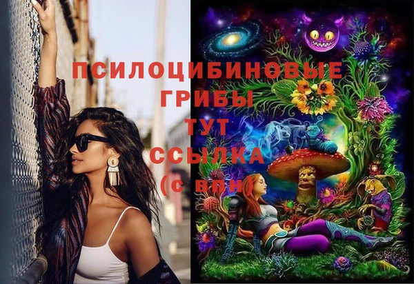 гашик Инта