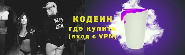 гашик Инта