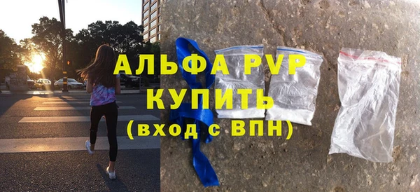 гашик Инта