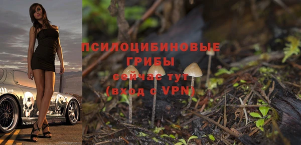 кокс Инсар