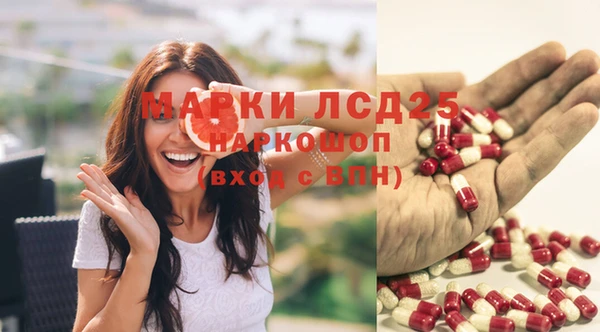 гашик Инта