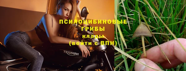 кокс Инсар
