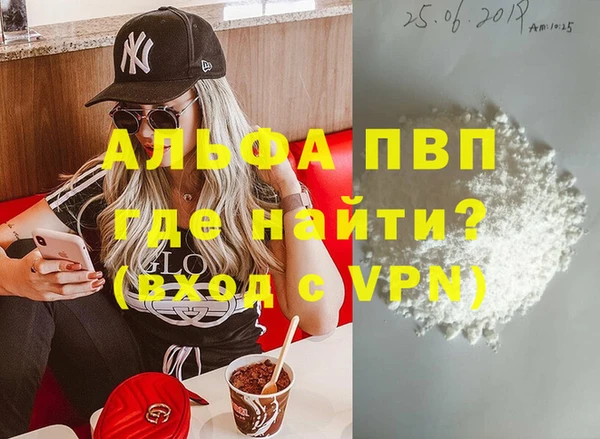 гашик Инта