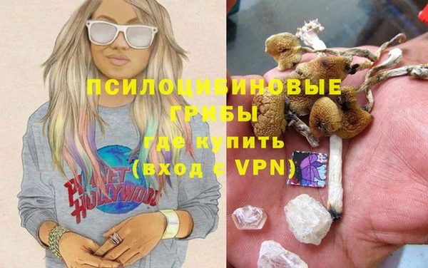 гашик Инта