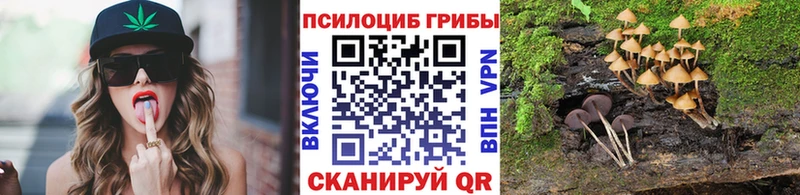 Псилоцибиновые грибы GOLDEN TEACHER  Купить  Грайворон 
