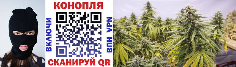 Марихуана тримм  Купить закладки  Грайворон 